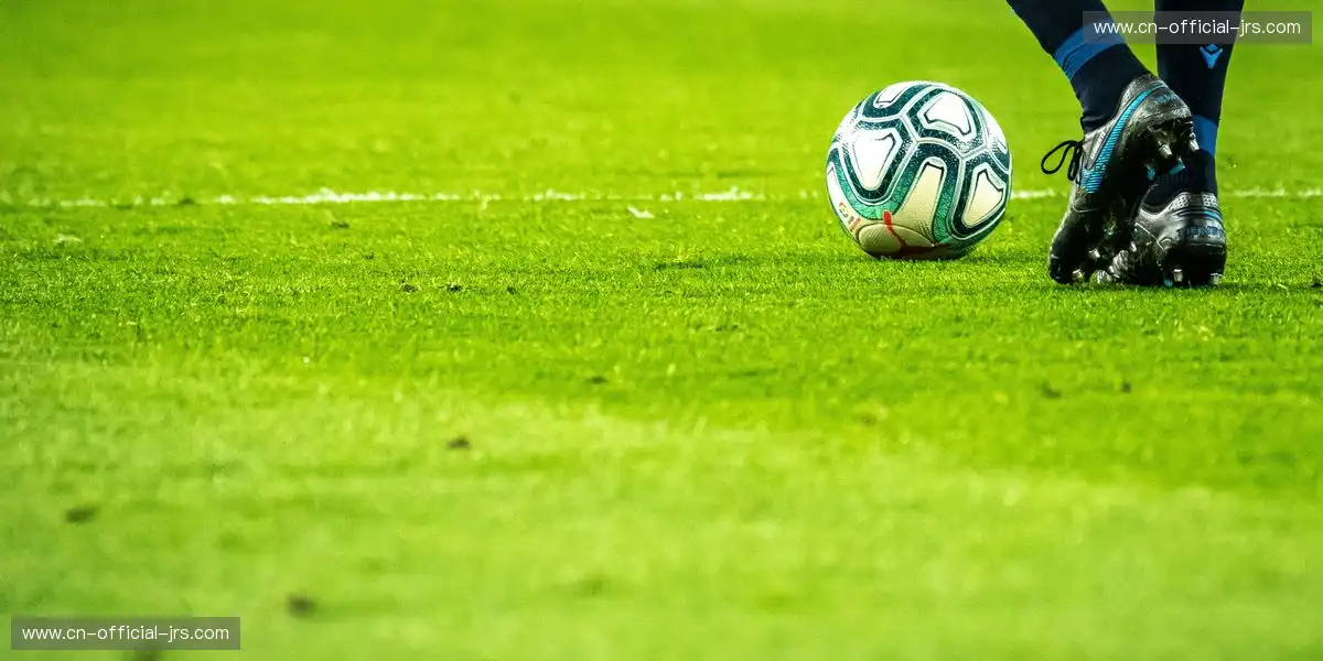 体育合作选项更具弹性